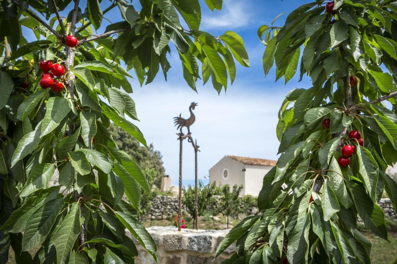 Gallicantu Stazzo Retreat Luogosanto Exterior foto
